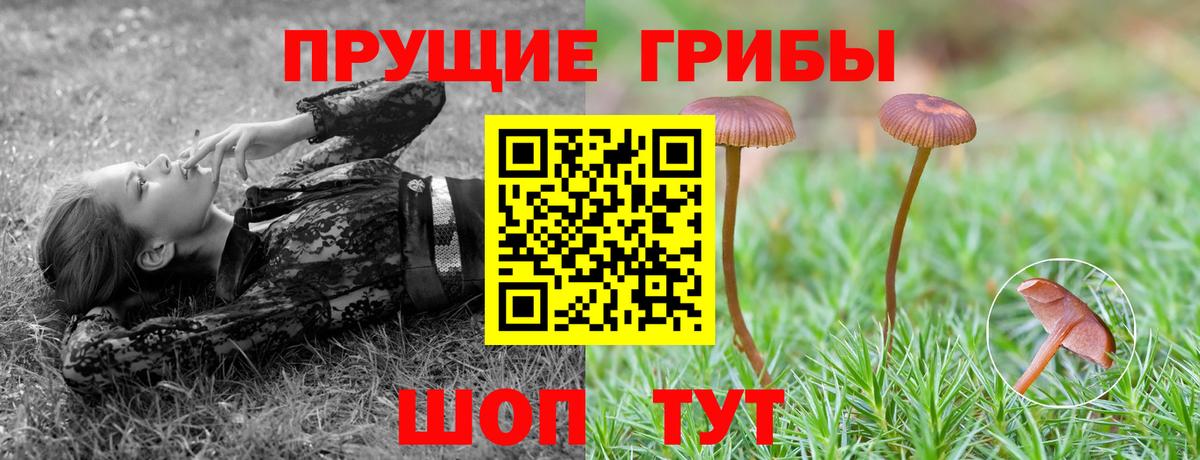 Псилоцибиновые грибы Magic Shrooms  даркнет сайт  Вход с VPN  Новоалтайск  Псилоцибиновые грибы Magic Shrooms 
